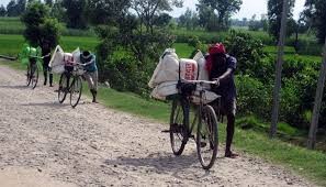 पर्सा जिल्लाबाट भारतीय गहुंको बीउ तस्करी शुचारु