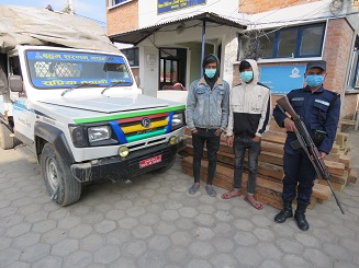 सालको काठ सहित दुईजना प्रकाउ