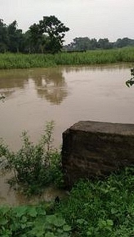 सिर्सीया नदी डुबान