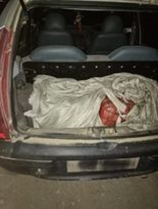 सशस्त्र प्रहरीद्धारा गाँजा बरामद