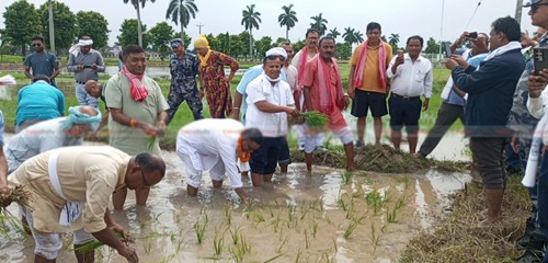 धान दिवस बीरगंजमा मनाईयो