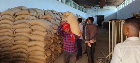 वीरगन्ज महानगरद्वारा ५० प्रतिशतमा  गहुँ वितरण