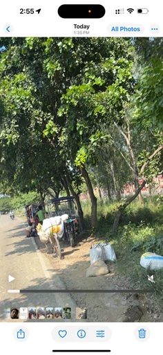 दशैको उपलक्ष्यमा बीरगंजबाट तस्करी संचालन