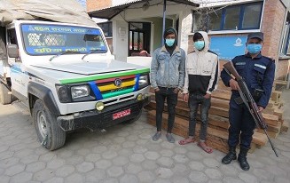 सालको काठ सहित दुईजना प्रकाउ