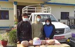 गांजा चरेस सहित तीनजना प्रकाउ