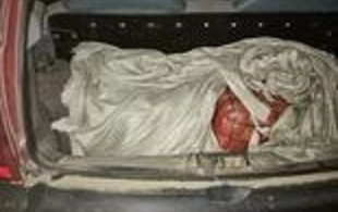 सशस्त्र प्रहरीद्धारा गाँजा बरामद