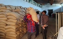 वीरगन्ज महानगरद्वारा ५० प्रतिशतमा  गहुँ वितरण