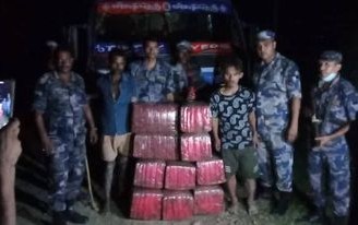 सशस्त्र प्रह्रीद्धारा गाँजा सहित दुई पक्राउ
