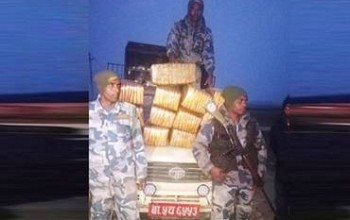 ठुलो परिणामा सशस्त्रद्धारा गांजा बरामद