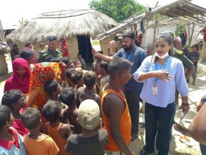 हैजा पछि बीरगंजमा जापनिज इन्सेफलाईटिस संक्रमण फेला