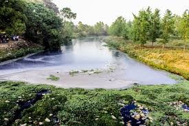 बीरगंज र सिसीर्या नदीलाई प्रदुषण मुतm गर्नका लागी धर्ना कार्यक्रम