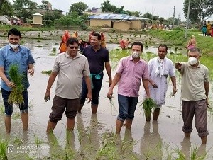 १७ औं धान दिवस बीरगंजमा बिभिन्न कार्यक्रम गरी मनाईयो