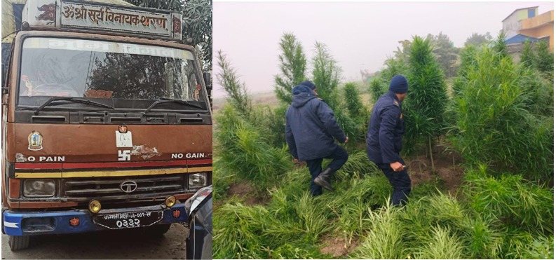 प्याज बोकेको ट्रक राजस्वमा, गाँजा फडानी